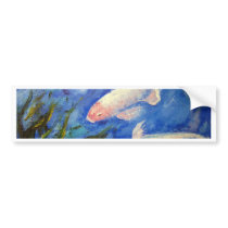 Koi Fish Underwater