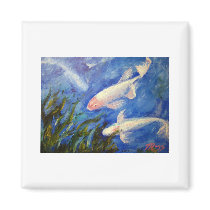 Koi Fish Underwater