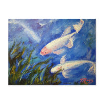 Koi Fish Underwater