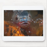 Koi Mousepad