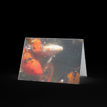 Koi Note Card cards