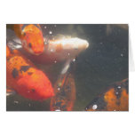 Koi Note Card