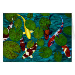 KOI POND