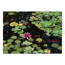 Koi Pond Card