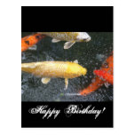 Koi Post Cards