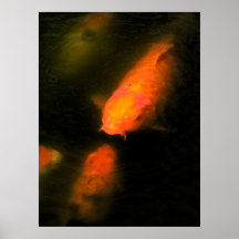 Koi Print