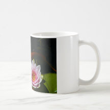 koi  swimming around lotus mug