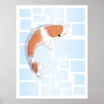 Koi tranquille posters