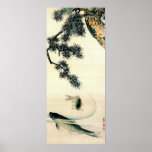 Koi Under Pine Branch 1900