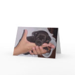 KOKO cards