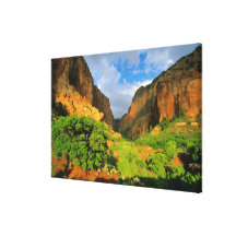 Kolob Canyon at Zion Canyon in Zion National Canvas Prints