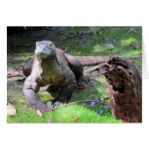 Komodo Dragon (0606) - Greeting Card