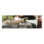 Komodo Dragon Bookmark business cards