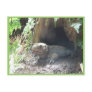 Komodo Dragon Coming Out Of His Home Under Tree Post Cards