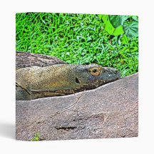Komodo Dragon Painting 3 Ring Binders