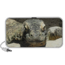 Komodo Dragon Portable Speakers