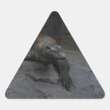 Komodo Dragon Sticker