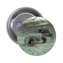 Komodo Dragons Buttons