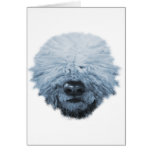 Komondor Dog Greeting Cards