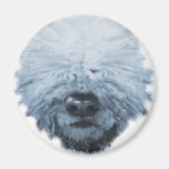 Komondor Dog Magnet