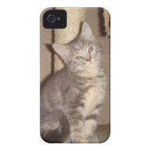 Konfoozled Kitty iPhone 4 Case-Mate Case