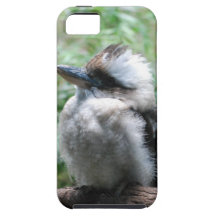 kookaburra-17.jpg iPhone 5 cases