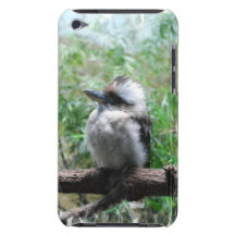 kookaburra-17.jpg iPod touch cases