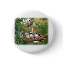 Kookaburra 9Y172D-004 Buttons