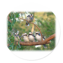 Kookaburra 9Y172D-004 Round Stickers