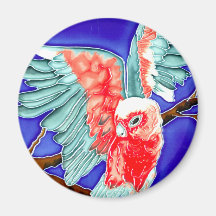 Kookaburra, Cockatoo & Parrot T-Shirts and Gifts! Magnets
