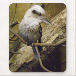 kookaburra, vert mousepad