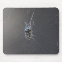 Kooskooskia Idaho Insects Arachnids Spiders Mousepad