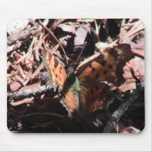 Kooskooskia Idaho Insects Arachnids Spiders Mousepad