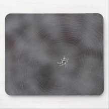 Kooskooskia Idaho Insects Arachnids Spiders Mouse Pads