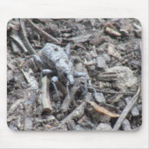 Kooskooskia Idaho Insects Arachnids Spiders Mouse Pad
