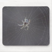 Kooskooskia Idaho Insects Arachnids Spiders Mouse Pads