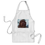 Korthals Griffon - Snowy Sarah Aprons