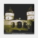 Kortrijk Bridge at night, Belgium Fridge Magnet