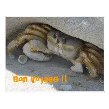 Krabbe am Sandstrand Bon Voyage Postkarten