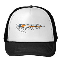 krill mesh hat