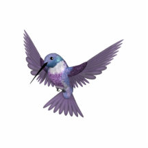 KRW Colourful Hummingbird Pin Photo Cut Outs