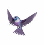 KRW Colourful Hummingbird Pin
