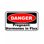 KRW Danger Pregnancy Hormones Funny t-shirts