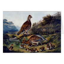 KRW Vintage Cares of a Family 1856 Card