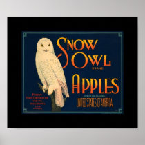 KRW Vintage Snow Owl Apple Fruit Crate Lable Poster