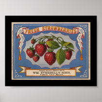 KRW Vintage Strawberry Fruit Crate Label Posters