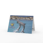 ksc_dolphin_, Curacao Kids Sea Camp Cards