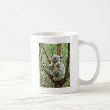 Kuddly Koala Coffee Mugs