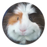 Kuku Round Sticker