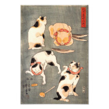 Kuniyoshi Four Cats Print Photographic Print